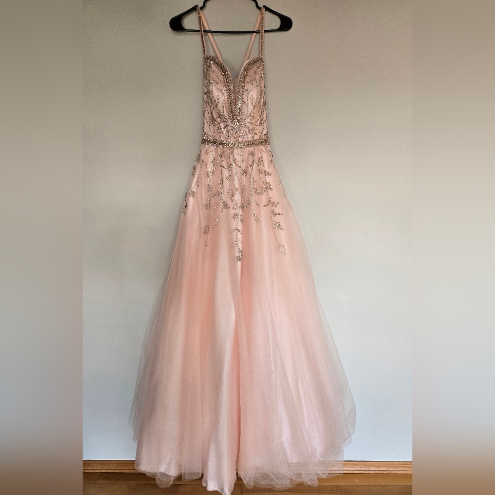 Pink Beaded Gown ASPEN